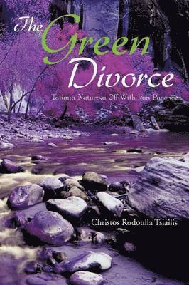 bokomslag Green Divorce