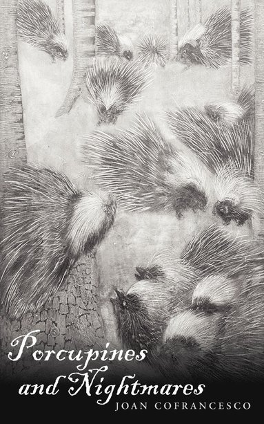 bokomslag Porcupines and Nightmares