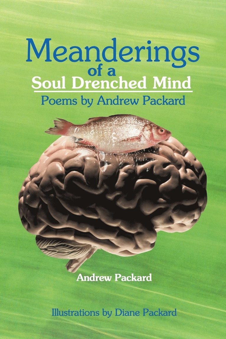 Andrew Packard - Meanderings of a Soul Drenched Mind, Häftad