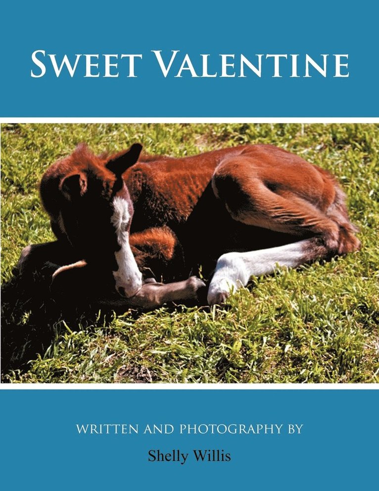 Sweet Valentine 1