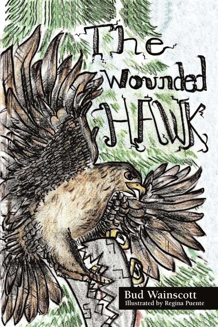 The Wounded Hawk 1