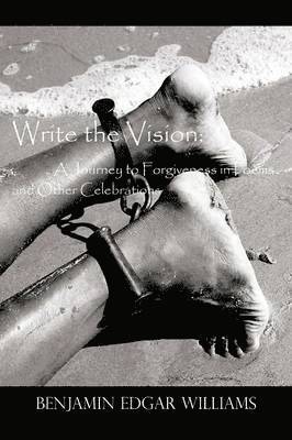 Benjamin Edgar Williams - Write the Vision, Häftad