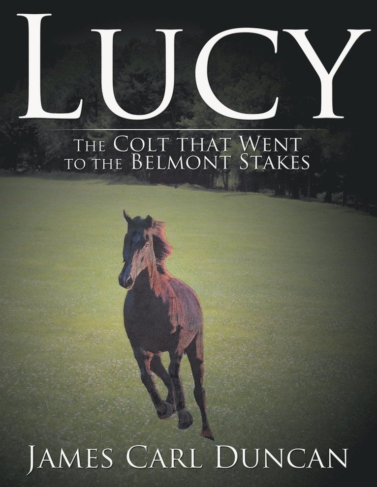 LUCY -- The Colt that Went to the Belmont Stakes 1