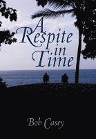 bokomslag Respite in Time