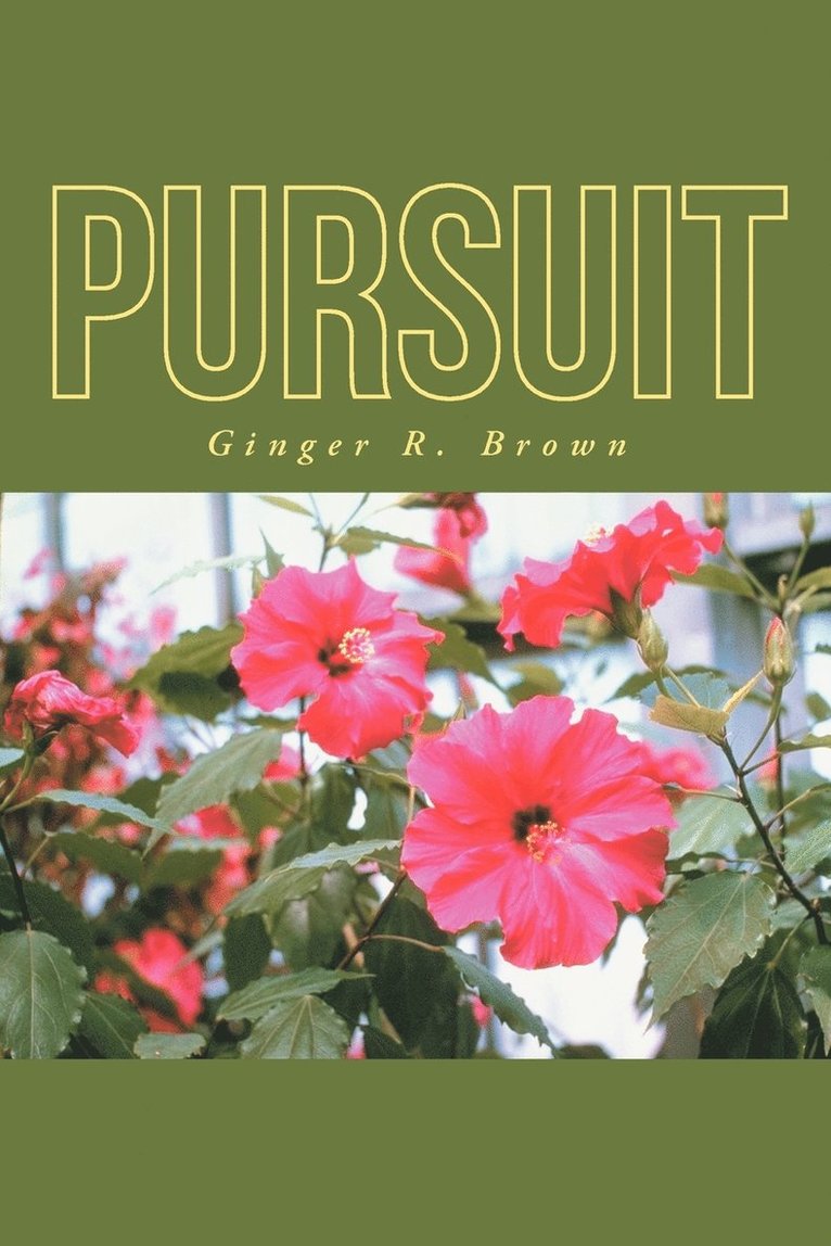 Pursuit 1