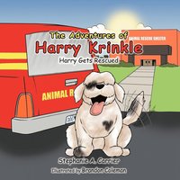 bokomslag Adventures of Harry Krinkle