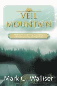 bokomslag Veil Mountain