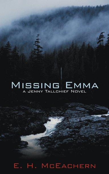 bokomslag Missing Emma