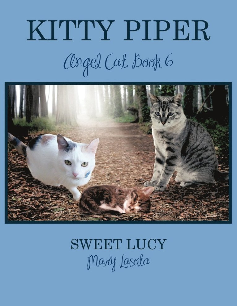 KITTY PIPER Angel Cat, Book 6 1