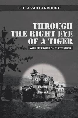 Through The Right Eye Of A Tiger 1