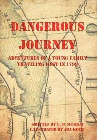 bokomslag Dangerous Journey