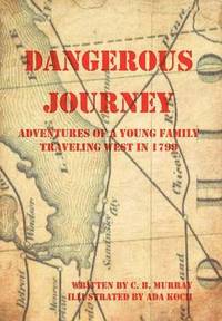 bokomslag Dangerous Journey