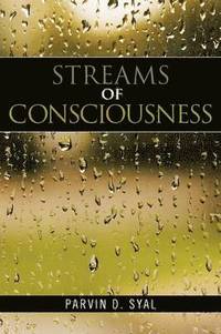 bokomslag Streams of Consciousness