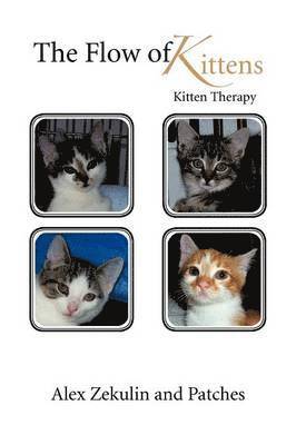 bokomslag Flow of Kittens
