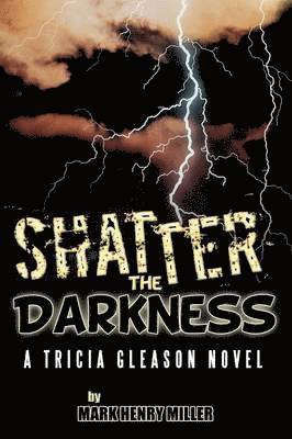bokomslag Shatter the Darkness