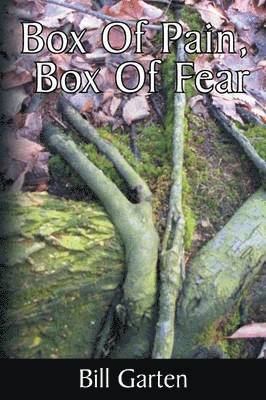 bokomslag Box Of Pain, Box Of Fear