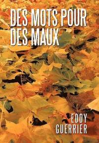 bokomslag Des Mots Pour Des Maux