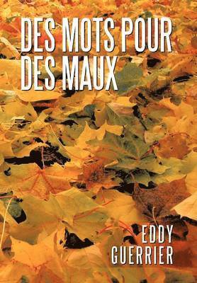 bokomslag Des Mots Pour Des Maux