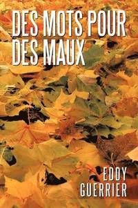 bokomslag Des Mots Pour Des Maux