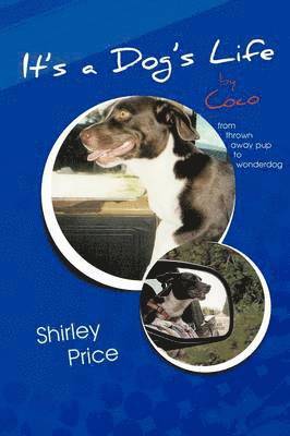 It's a Dog's Life by Coco