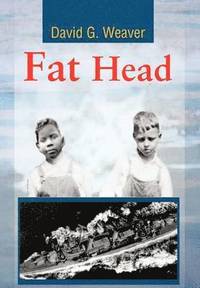 bokomslag Fat Head