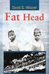 bokomslag Fat Head