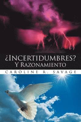 'Incertidumbres? Y Razonamiento