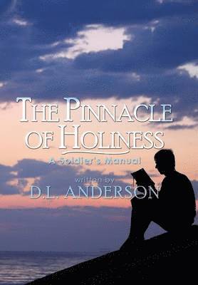 bokomslag Pinnacle of Holiness
