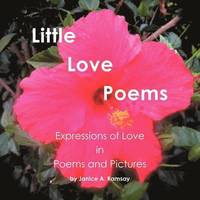 bokomslag Little Love Poems