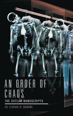 bokomslag An Order of Chaos
