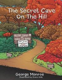 bokomslag The Secret Cave On The Hill