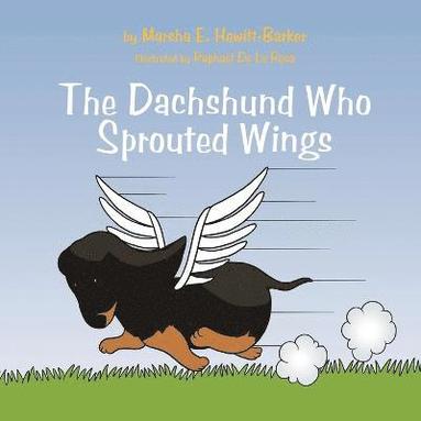 bokomslag The Dachshund Who Sprouted Wings
