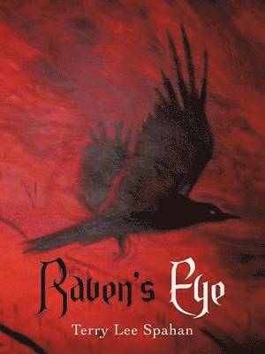 bokomslag Raven's Eye