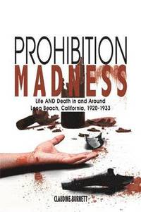 bokomslag Prohibition Madness