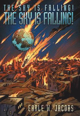 bokomslag Sky is Falling! The Sky is Falling!