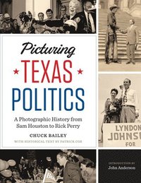 bokomslag Picturing Texas Politics