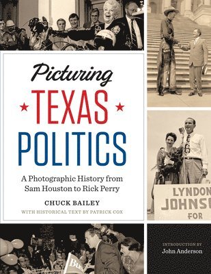 Picturing Texas Politics