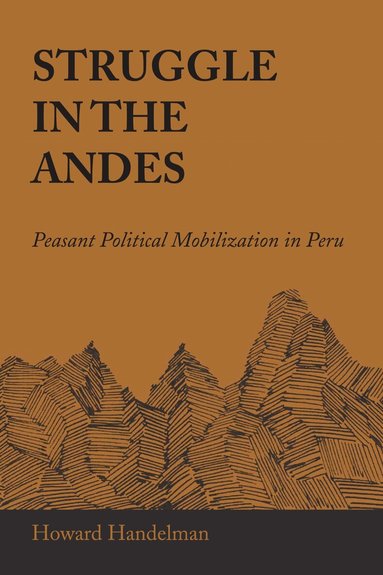 Howard Handelman - Struggle in the Andes, Häftad