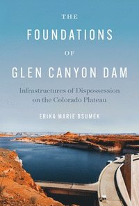 bokomslag The Foundations of Glen Canyon Dam