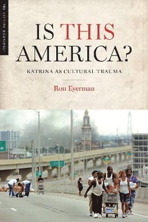 Ron Eyerman - Is This America?, Häftad