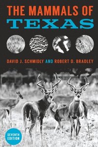 bokomslag The Mammals of Texas