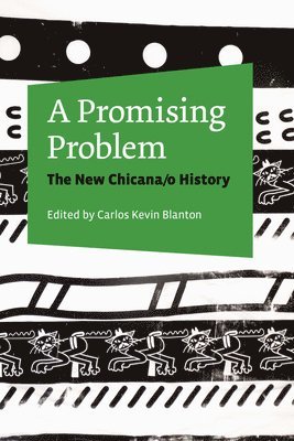 bokomslag Promising Problem