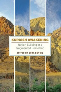 bokomslag Kurdish Awakening