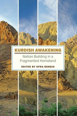Kurdish Awakening 1
