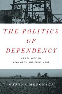 bokomslag The Politics of Dependency