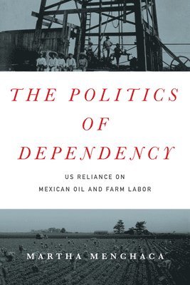 bokomslag Politics of Dependency