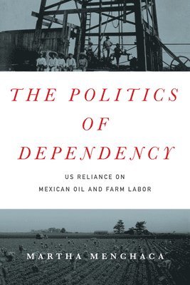 The Politics of Dependency 1