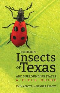 bokomslag Common Insects of Texas and Surrounding States