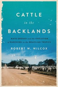 bokomslag Cattle in the Backlands