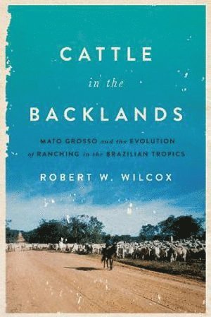 bokomslag Cattle in the Backlands